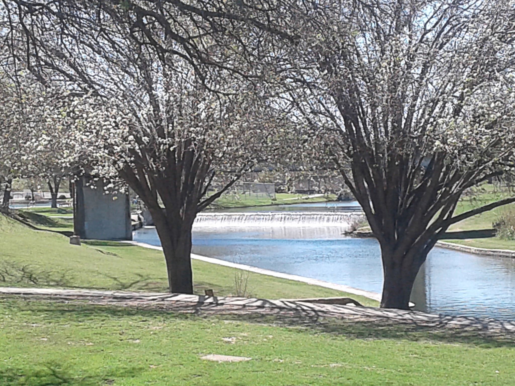 WM Brook Park- Melissa Reinhardt