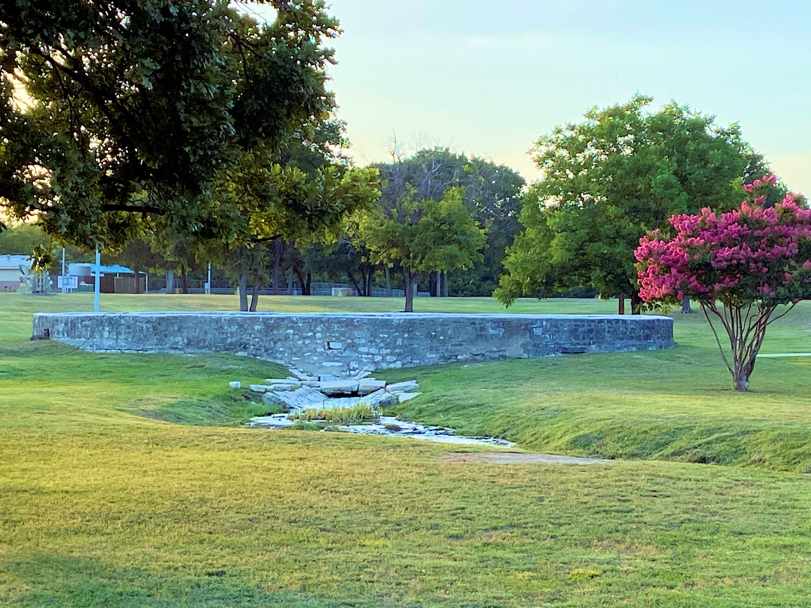 July 2020 Photo Contest Winner