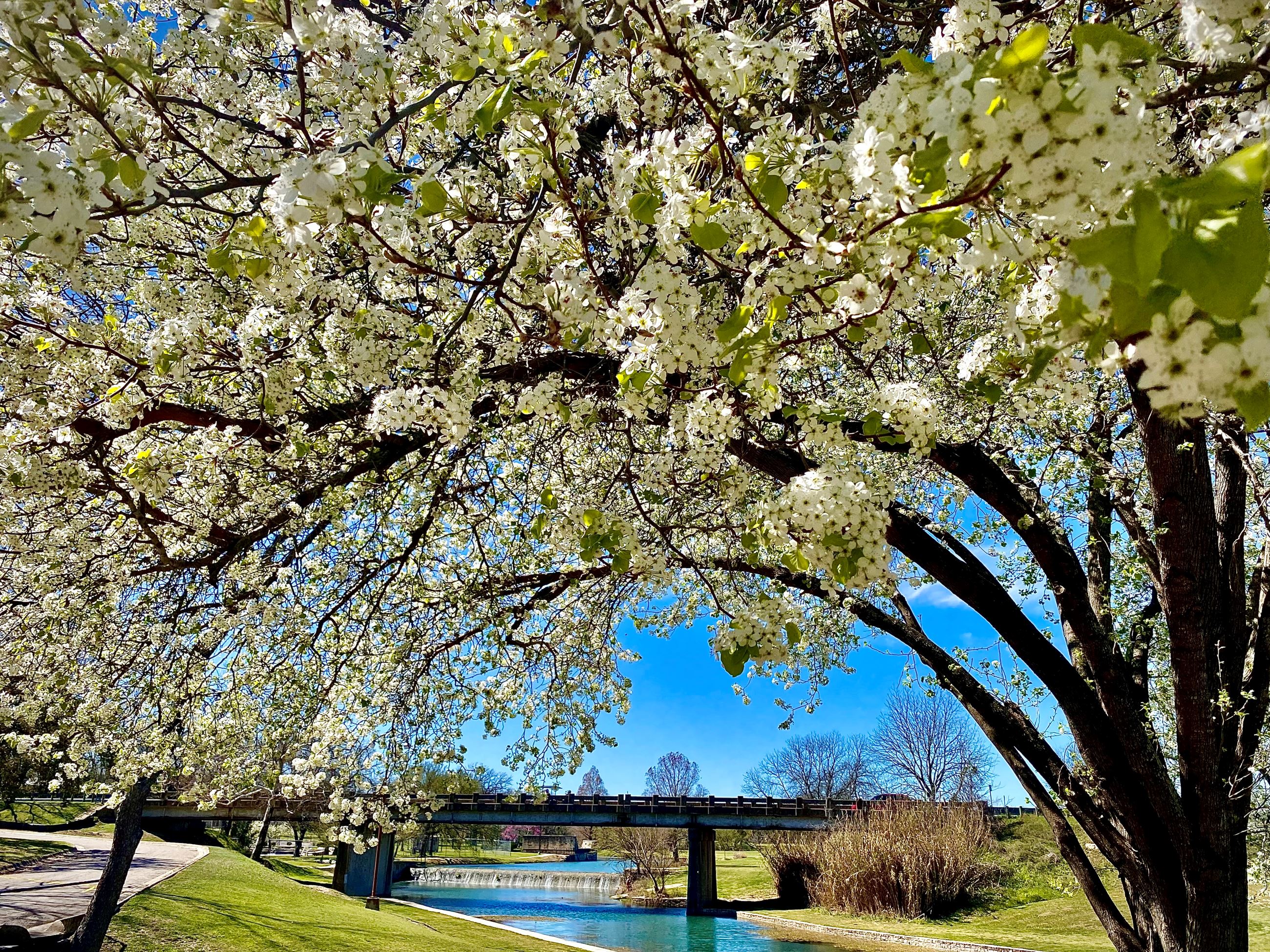 March 2024 Photo Contest Winner