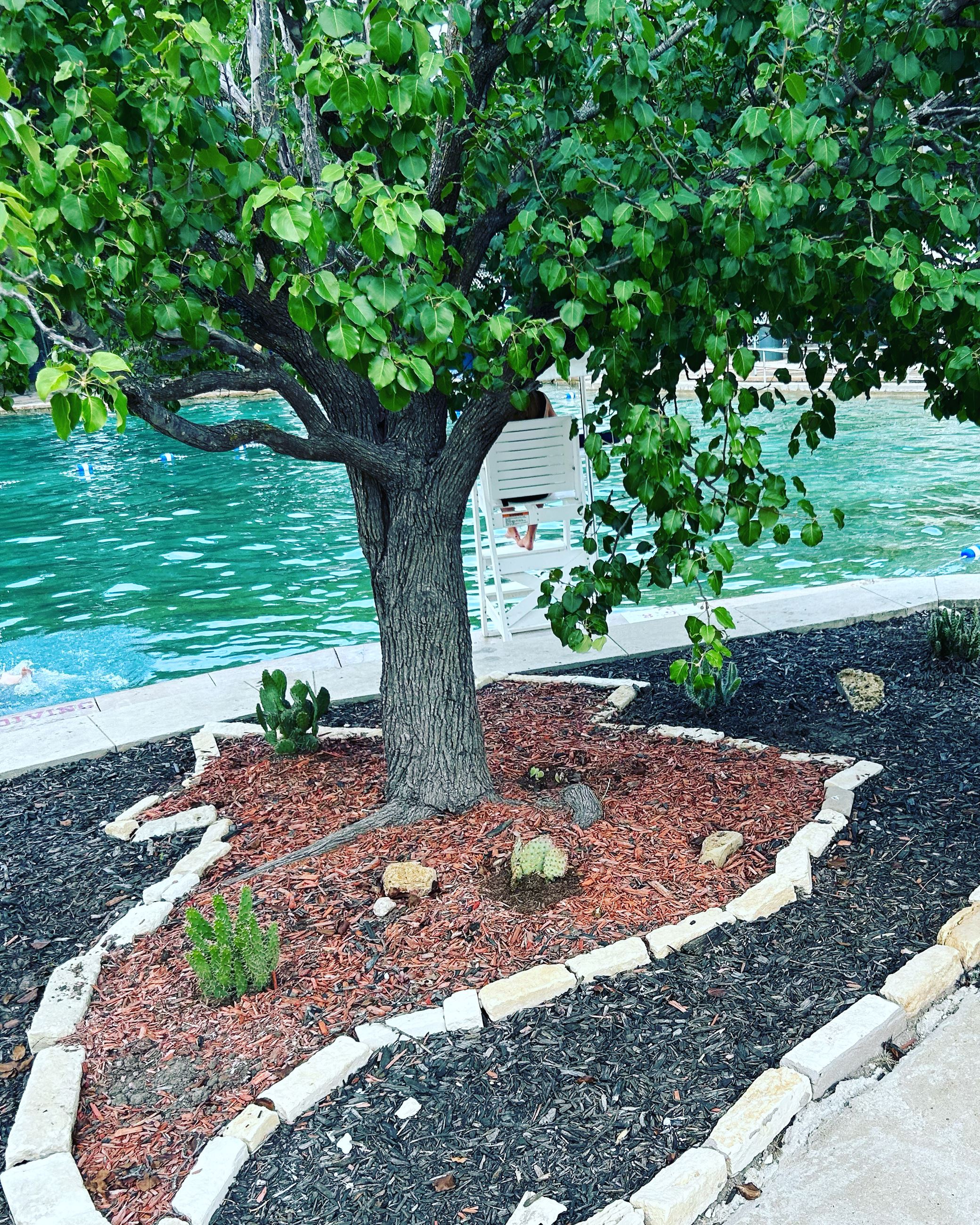 April 2024 Photo Contest Winner