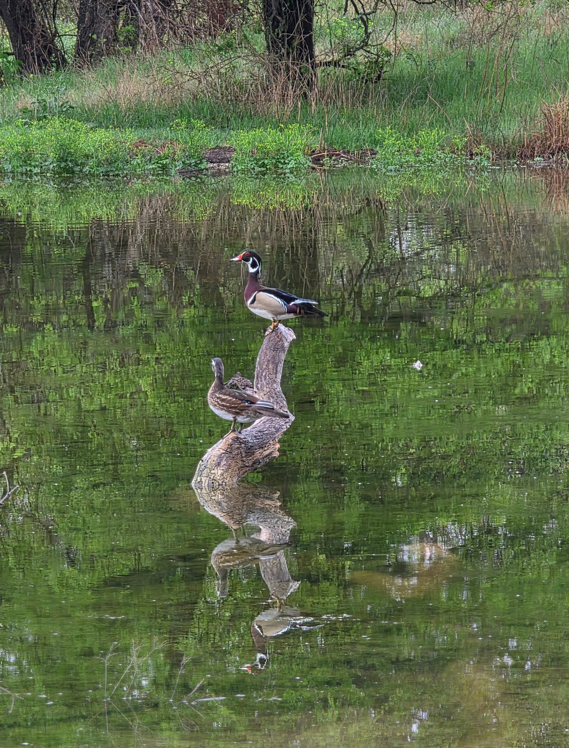 March 2025 Photo Contest Winner