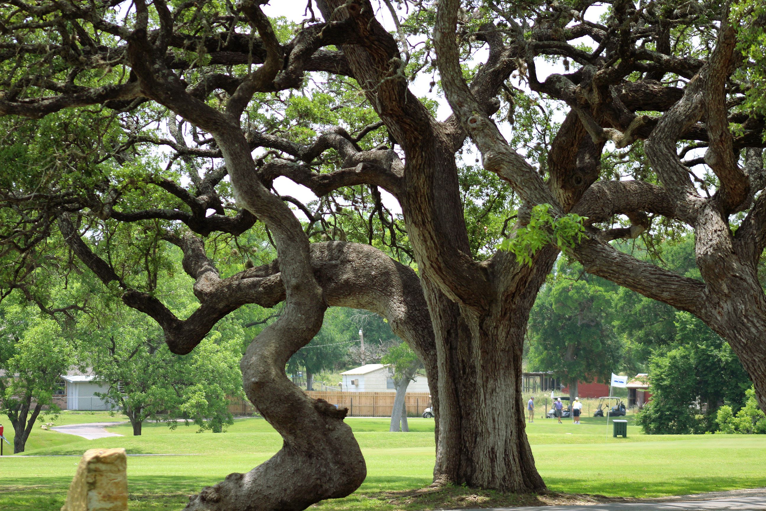 Hancock Park Golf Course